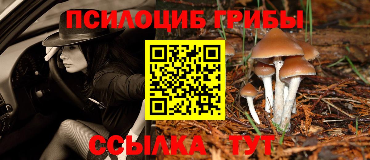 Галлюциногенные грибы Magic Shrooms Сургут